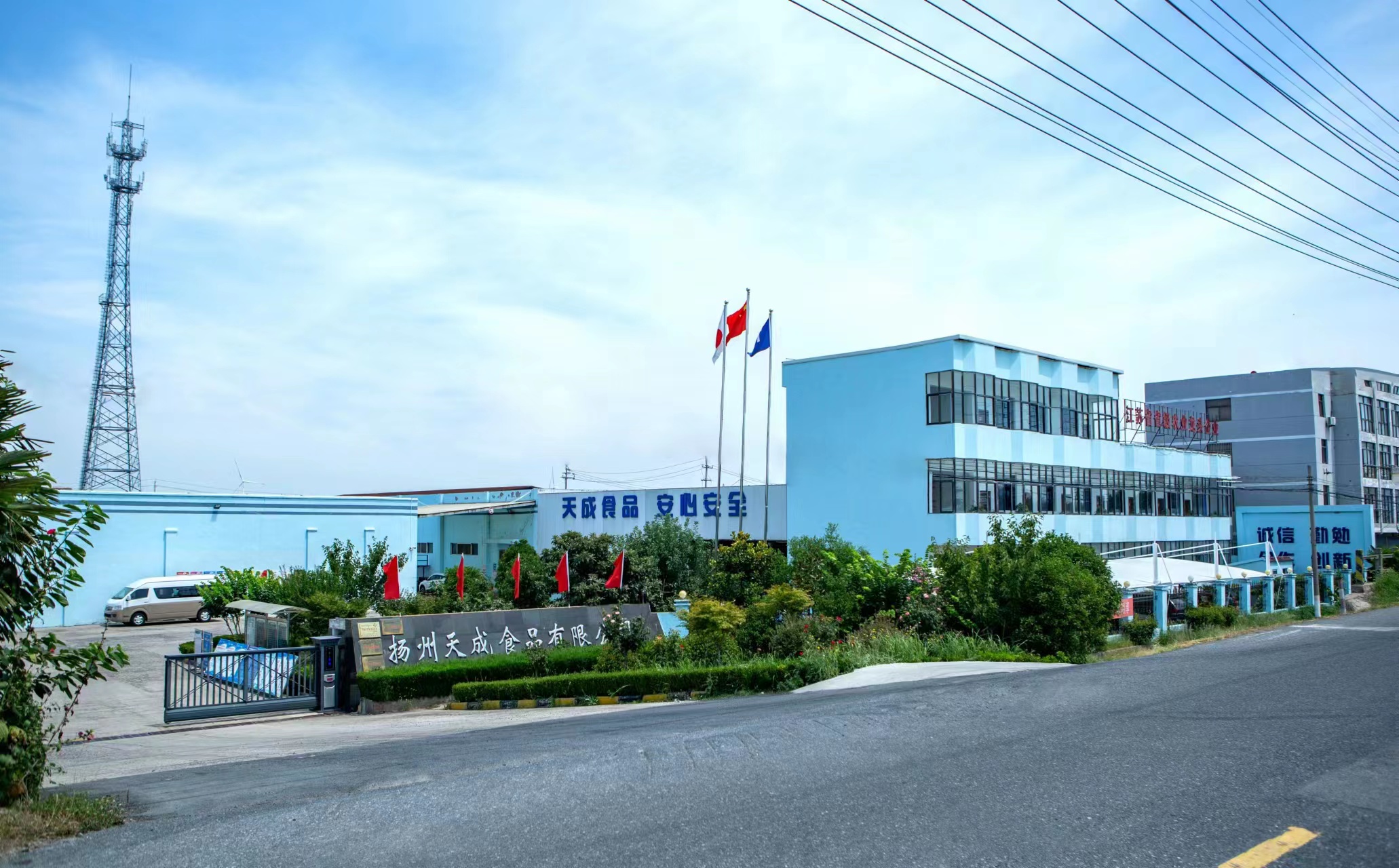 Yangzhou Tiancheng Food Co., Ltd. – café molido 1