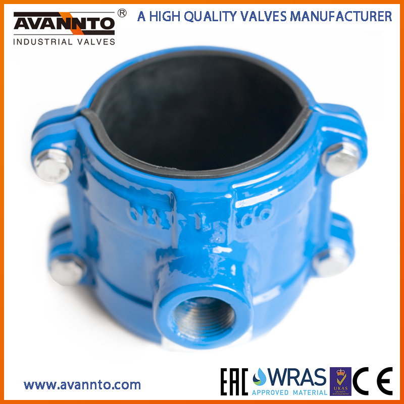 AVANNTO FLOW CONTROLS CO.,LTD – Check valve 2