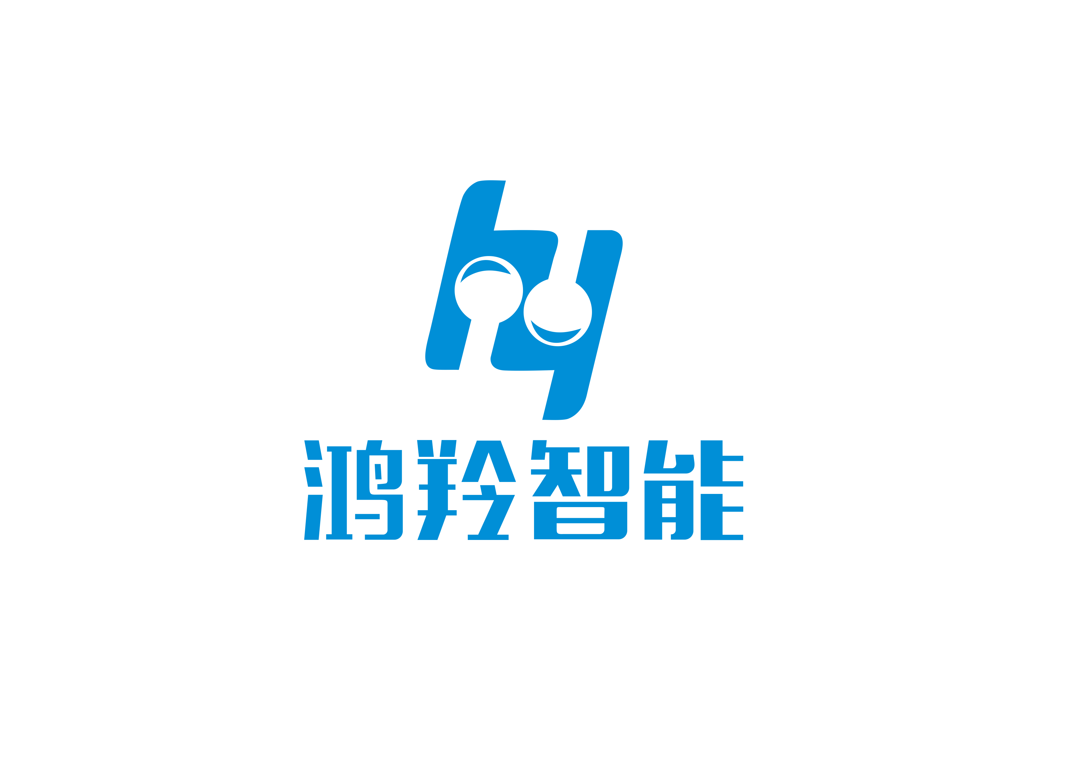 Hoyo Scitech Co., Ltd.