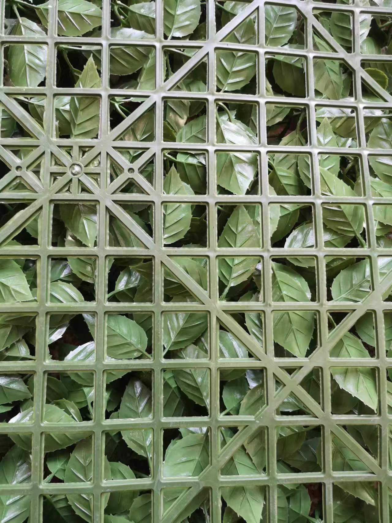 Grass Wall