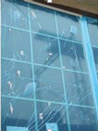 Window glass protective film
