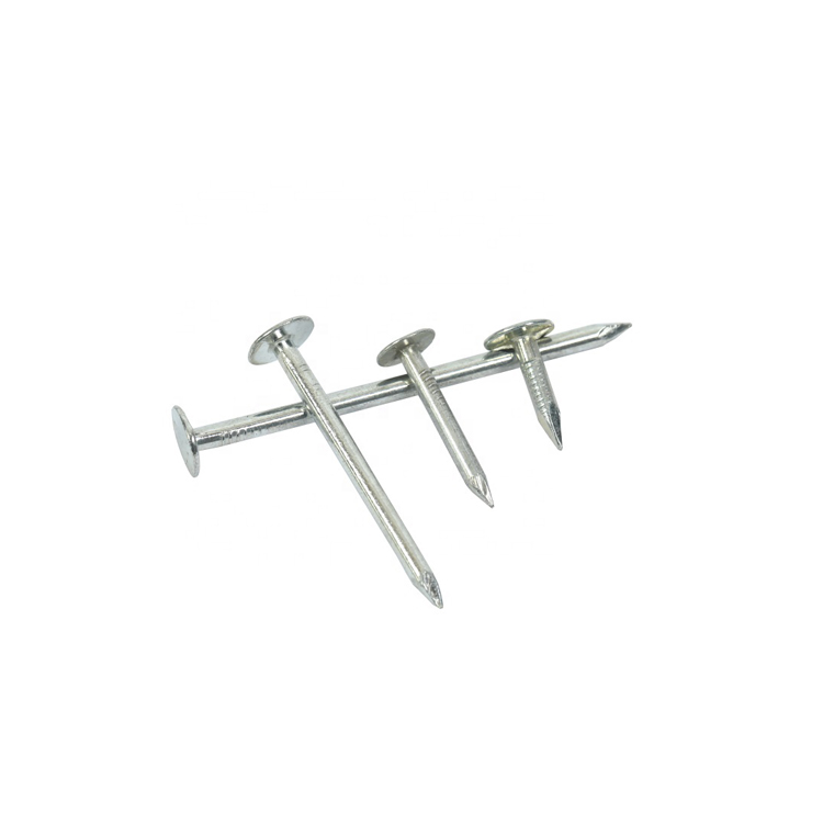Galvanized Roof Felt Nails
