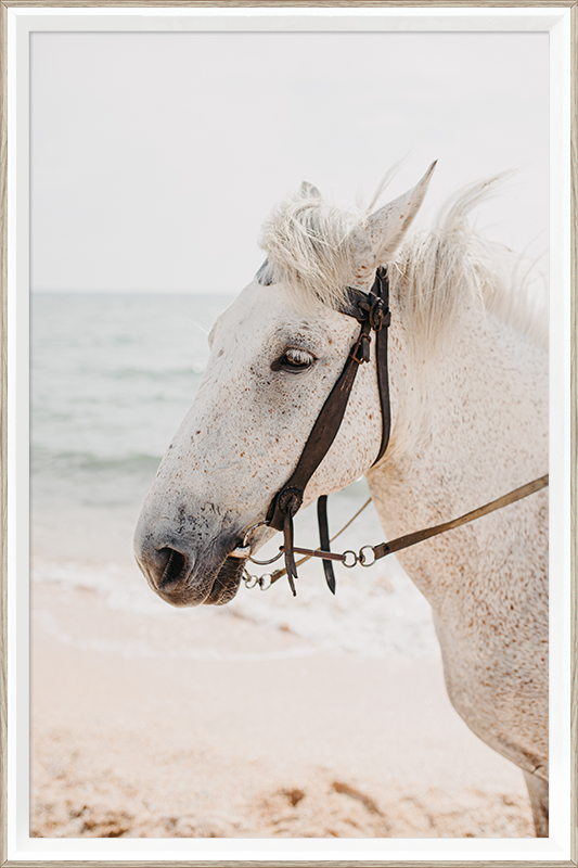 Animal Double color framed art