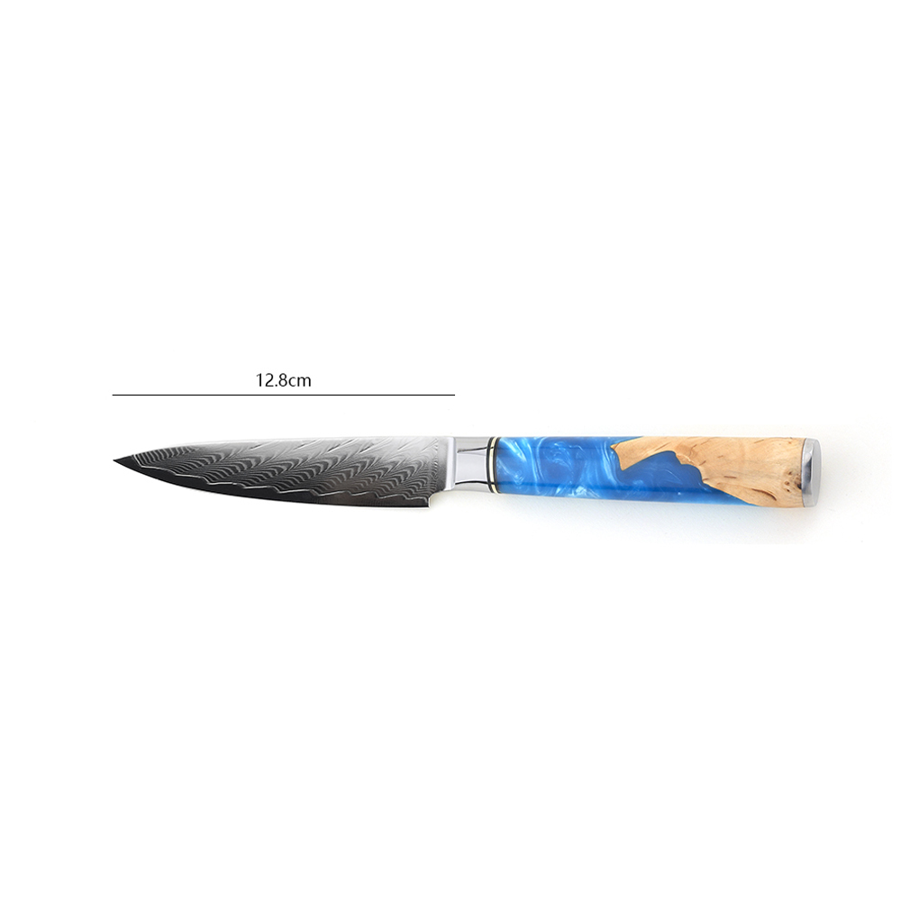 Hip-home Damascus steel cooking knife professional kitchen utility knives