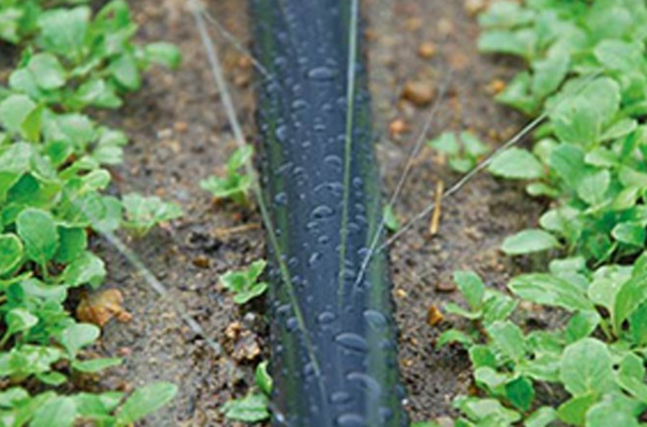 PE sprinkler hose