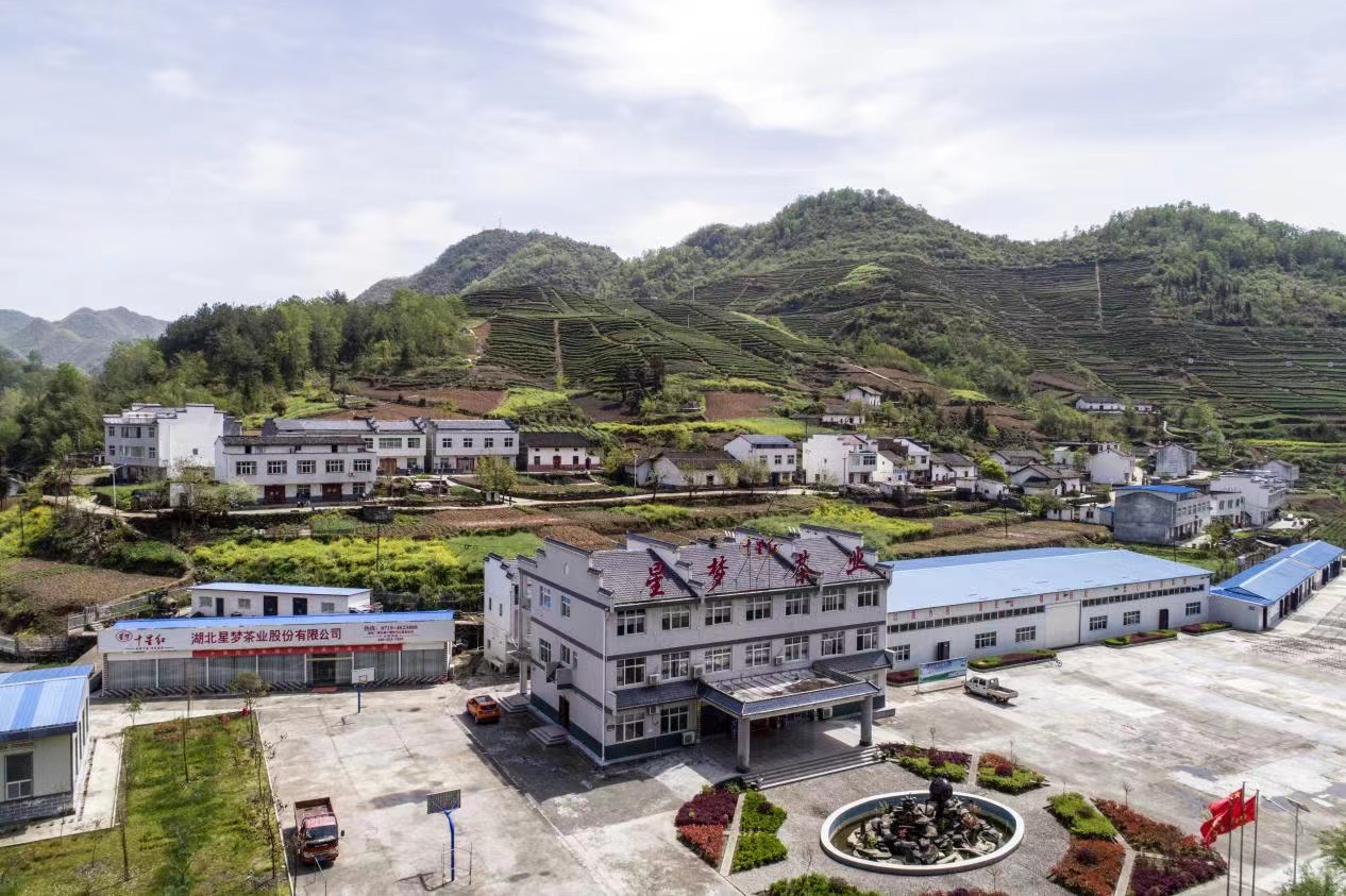 Hubei Xingmeng Tea Industry Co., Ltd. – té negro 2