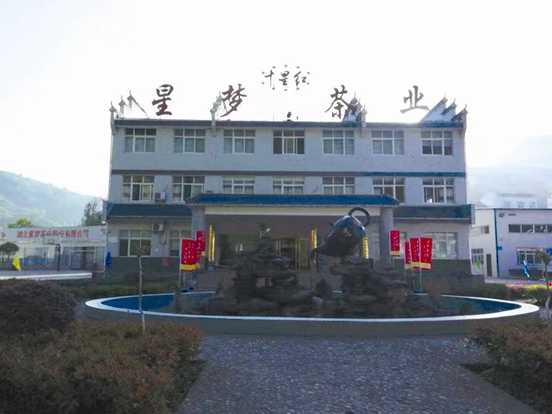 Hubei Xingmeng Tea Industry Co., Ltd. – café molido 1