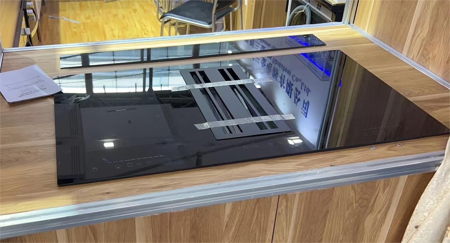 Built-in Cabinet Downdraft ranghood & Induction