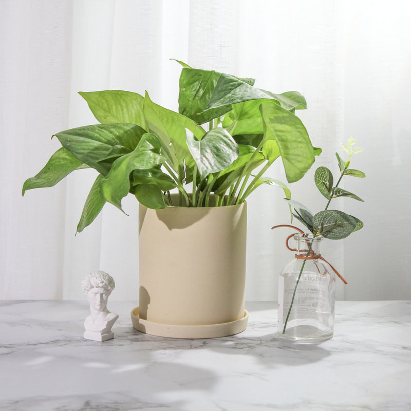 flower pot with saucer