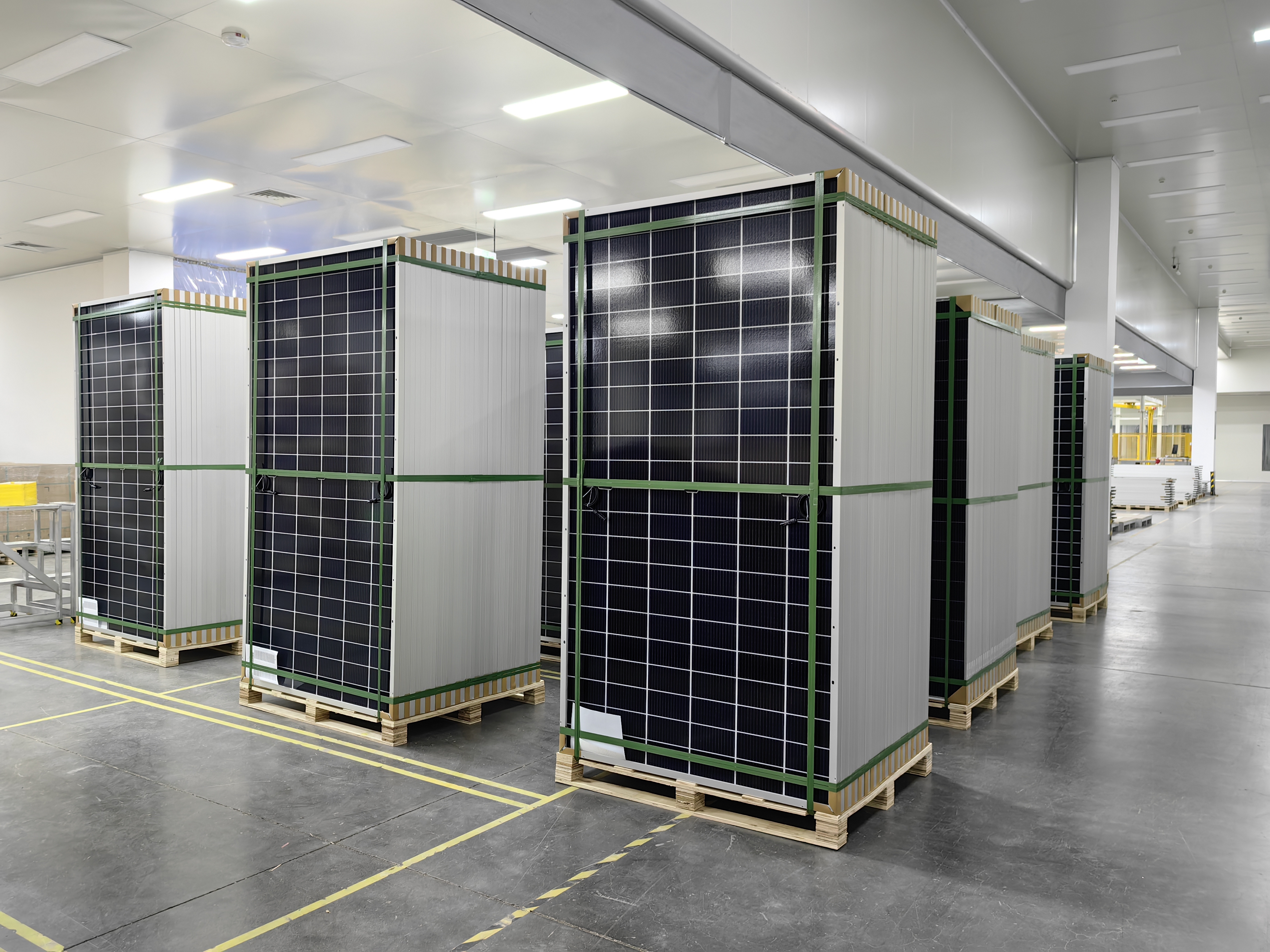 Solar Module/ Solar panel