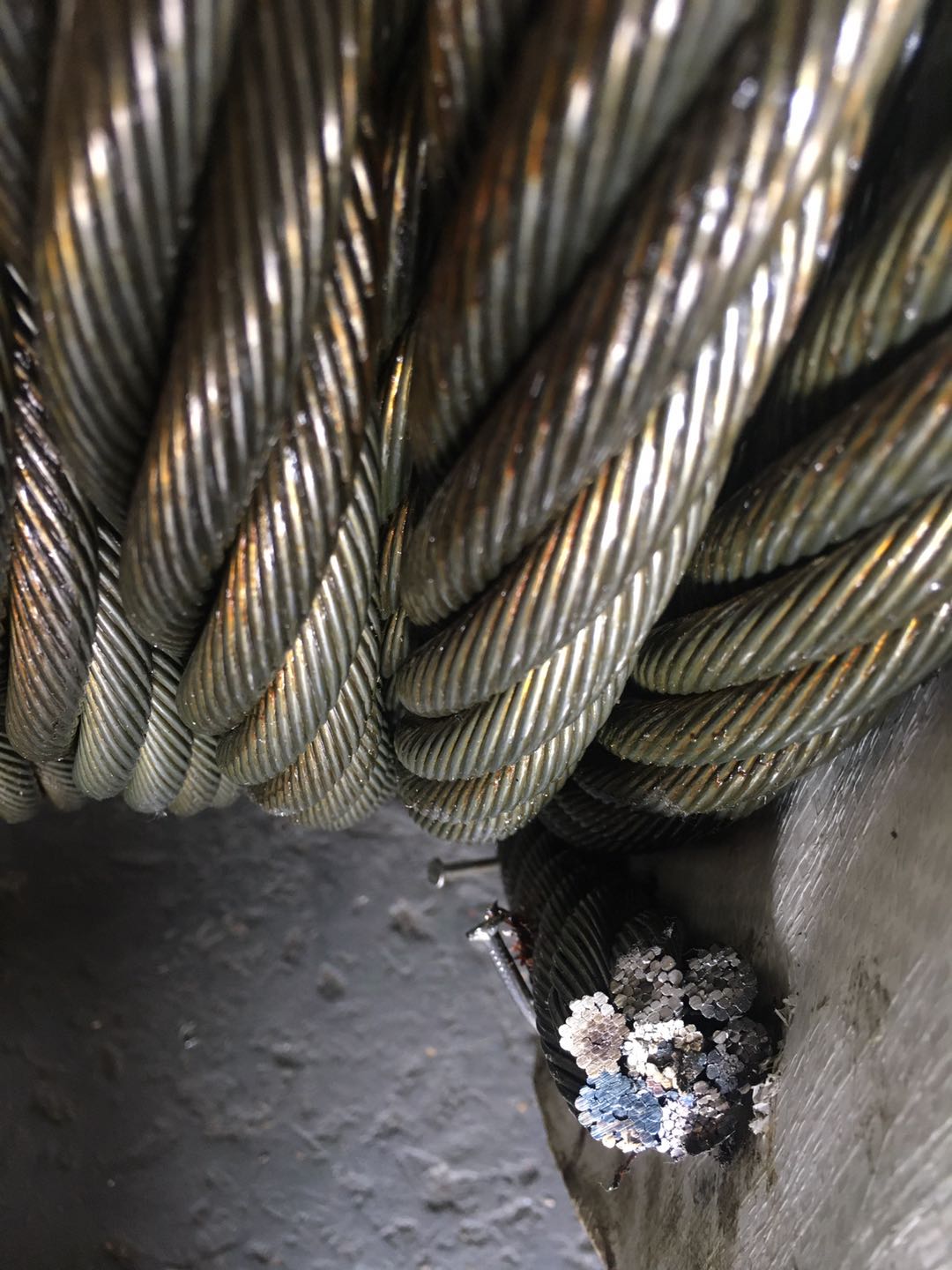 steel wire rope
