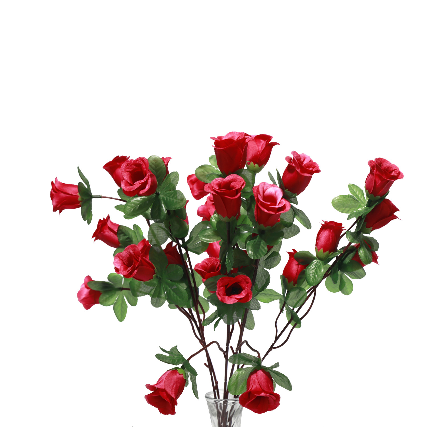 Bunched rose with many heads