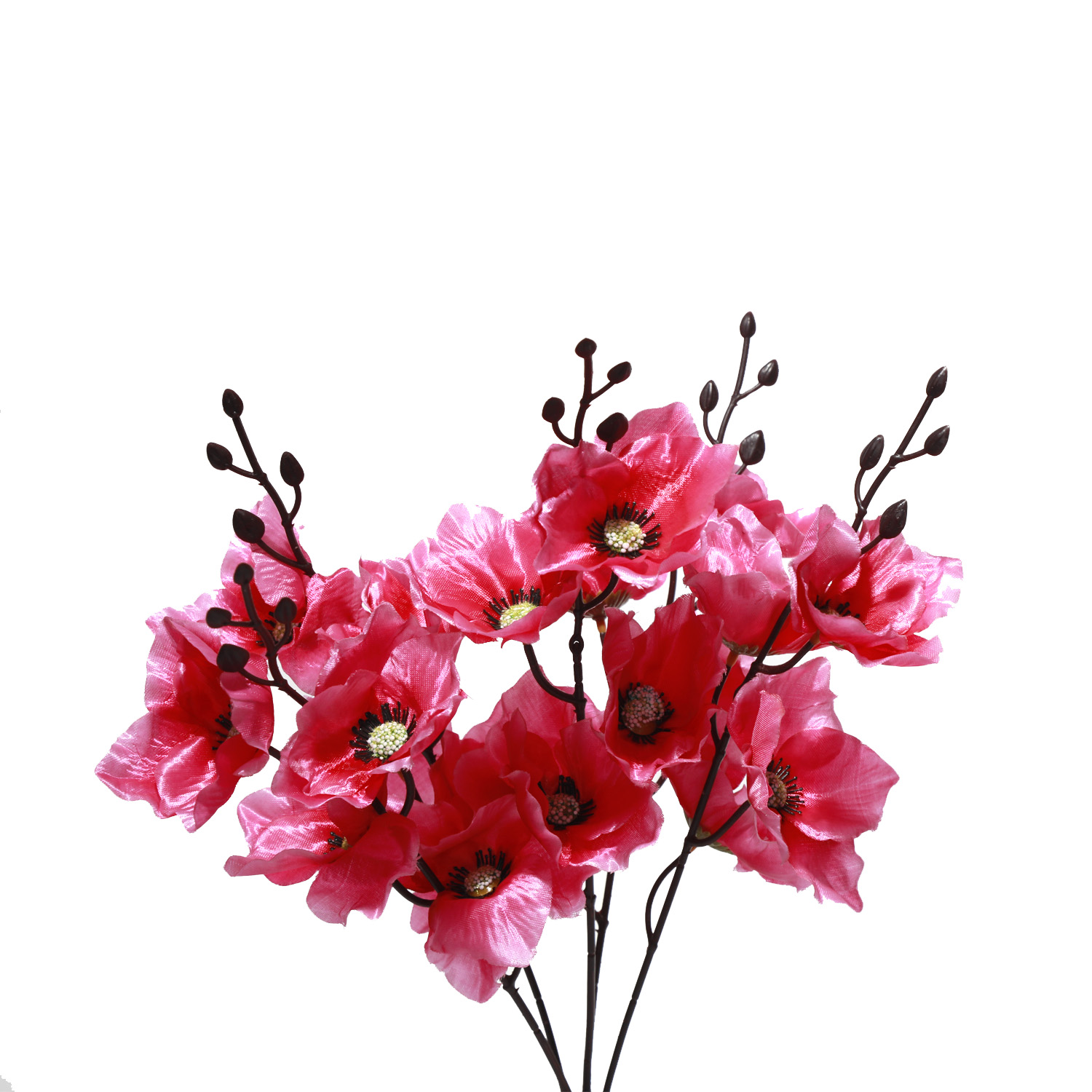 Autumn gladiolus