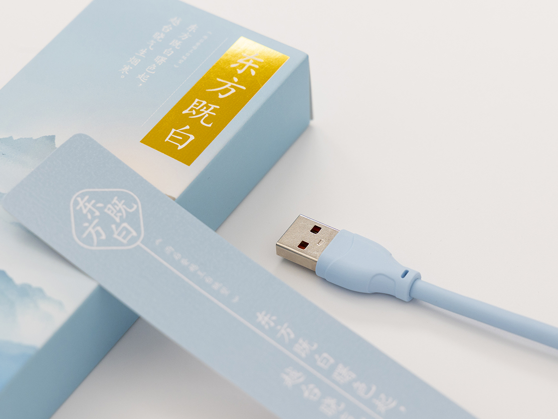 USB TYPE-C Super charging Cable blue