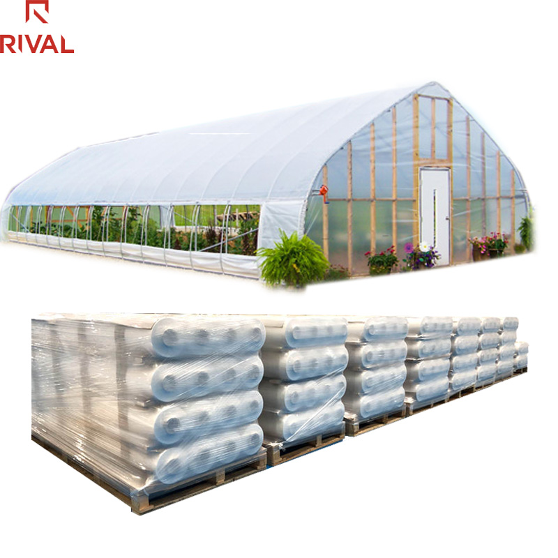 Uv Resistant Ldpe Multifunction Shed Film 200 Micron Greenhouse Plastic For Agriculture