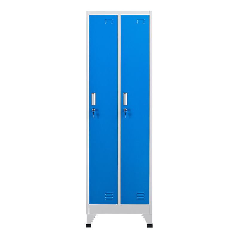 2 door steel locker