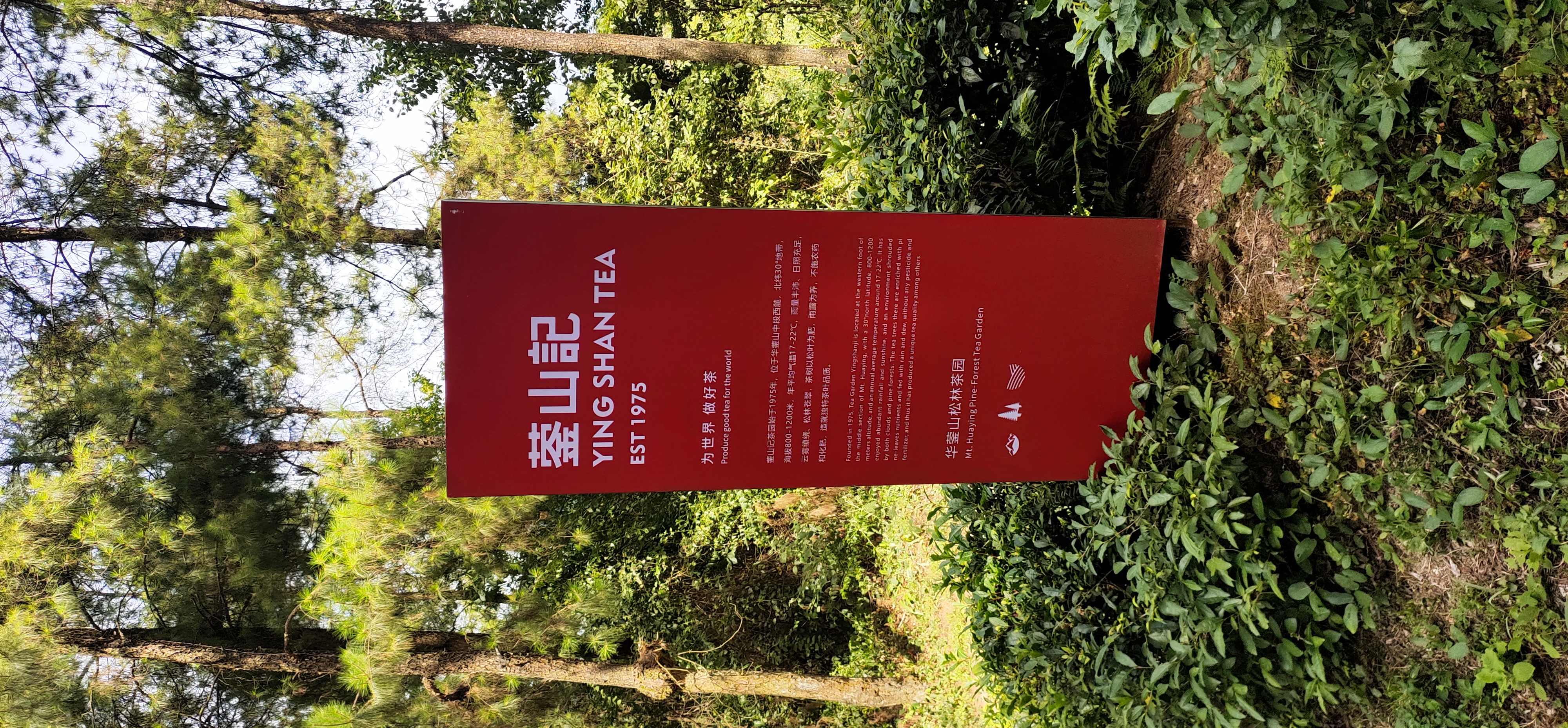 Sichuan Yingshan Ji Tea Co., Ltd. – café molido 1