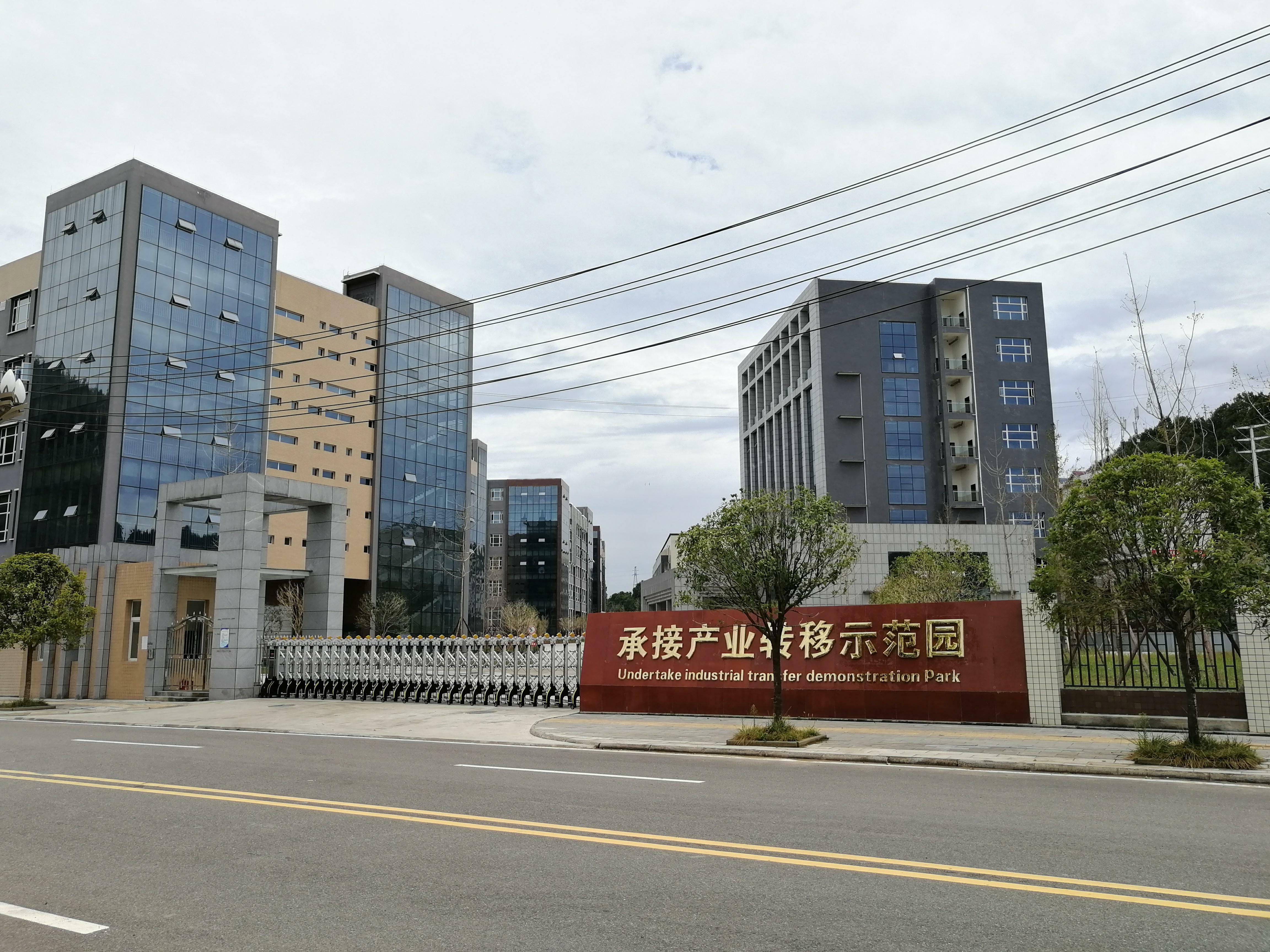 Guangyuan Shuzhiheng Shoe Industry Co., Ltd. – women's single shoes 2
