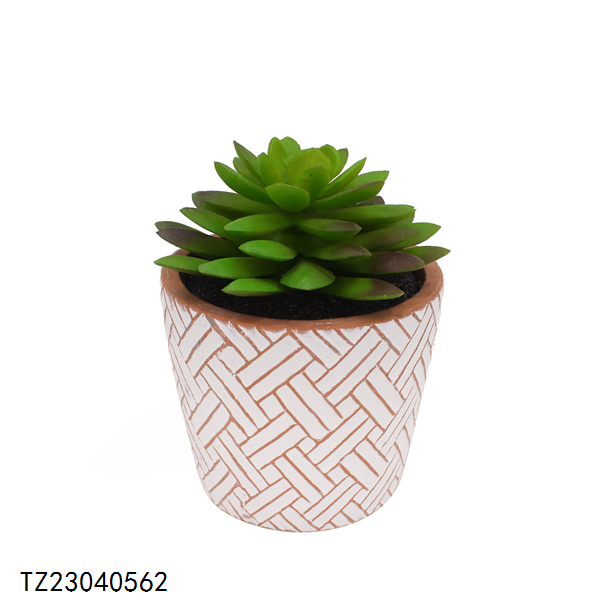 Shantou Tizen Homeware Co.,Ltd – Australia 2