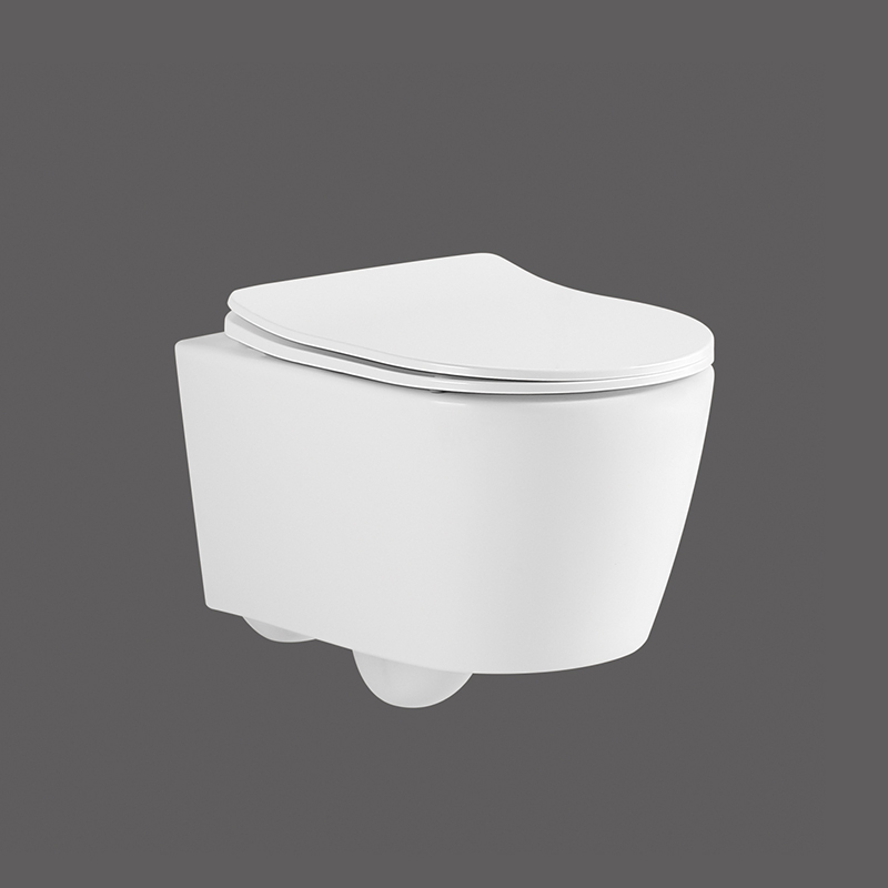 ROMANCE Wall hung toilet