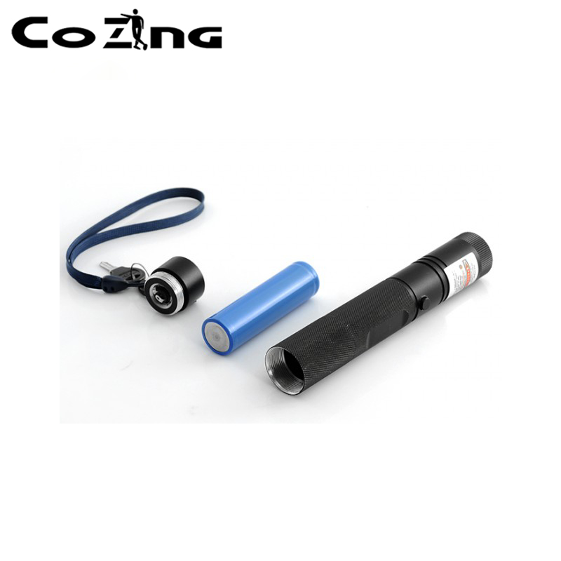 Physiotherapy Red Laser Acupuncture Pen For Pain Relief Home Use