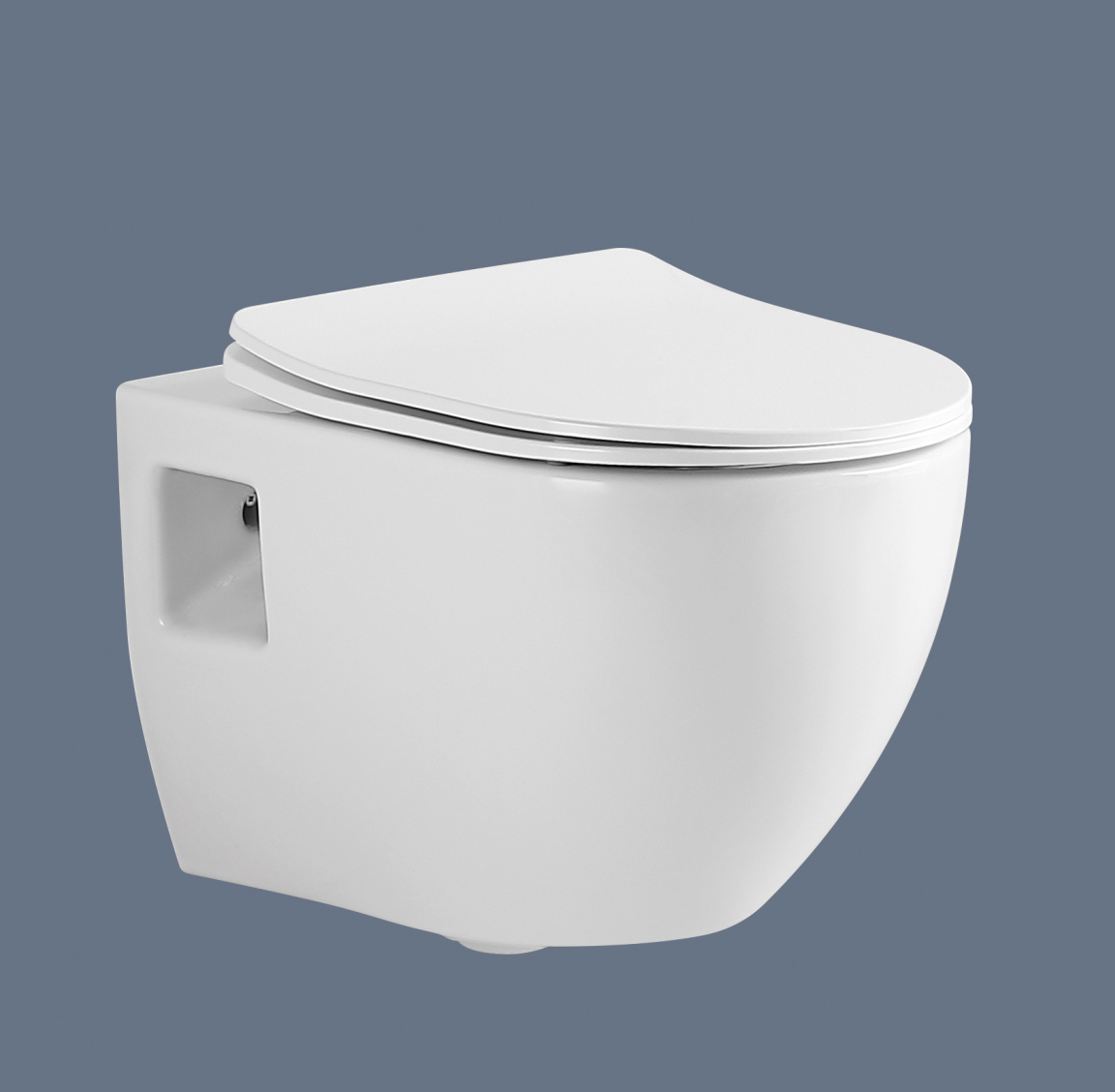 ROMANCE Wall hung toilet