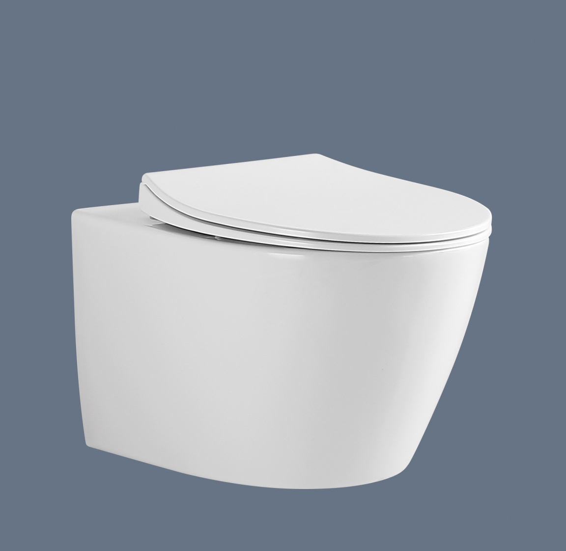 ROMANCE Wall hung toilet