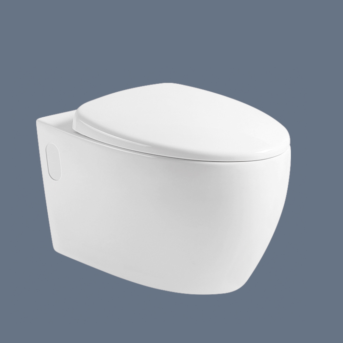 ROMANCE Wall hung toilet