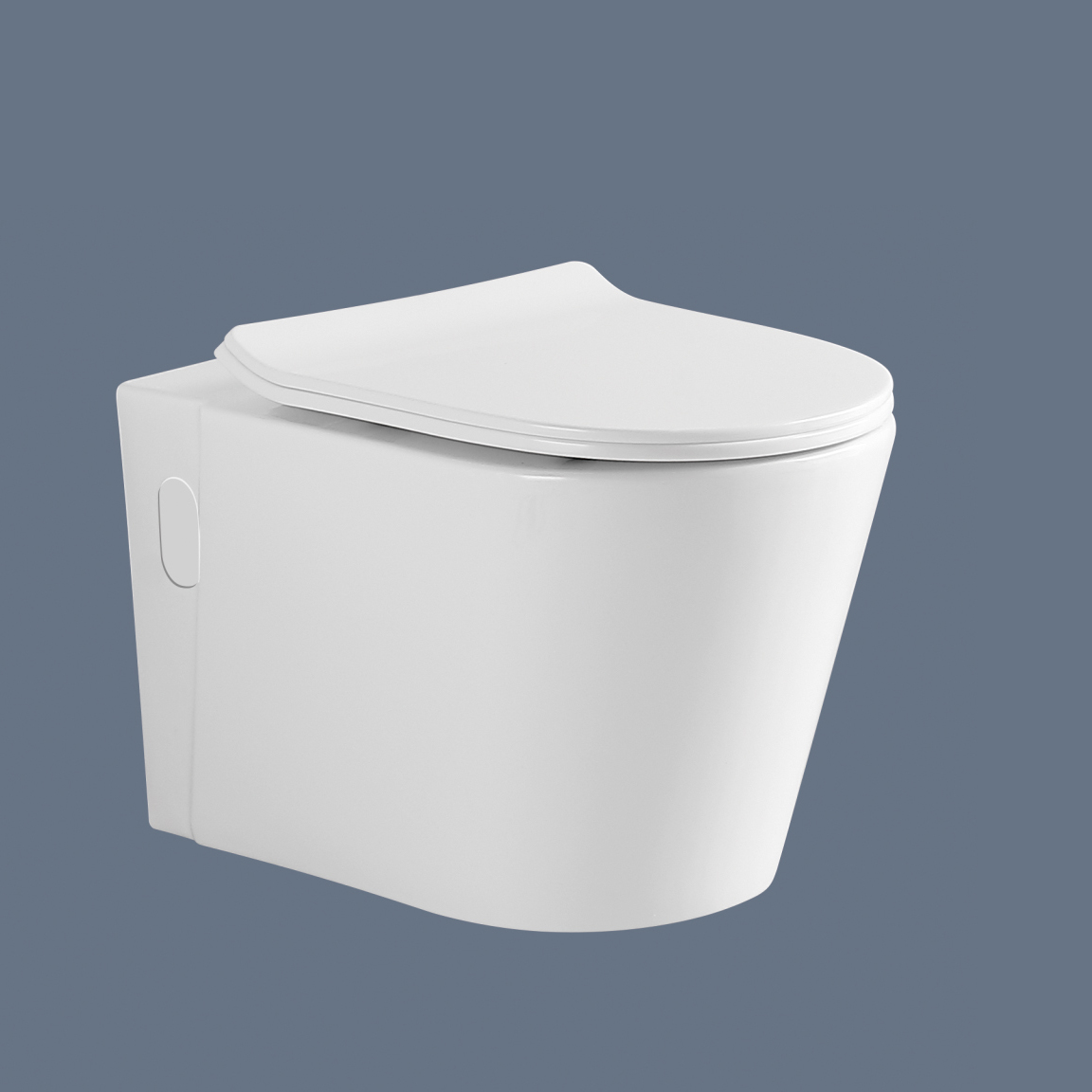 ROMANCE Wall hung toilet