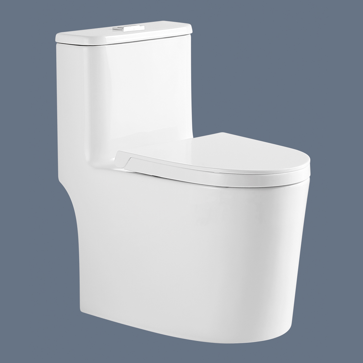 Romance one piece toilet