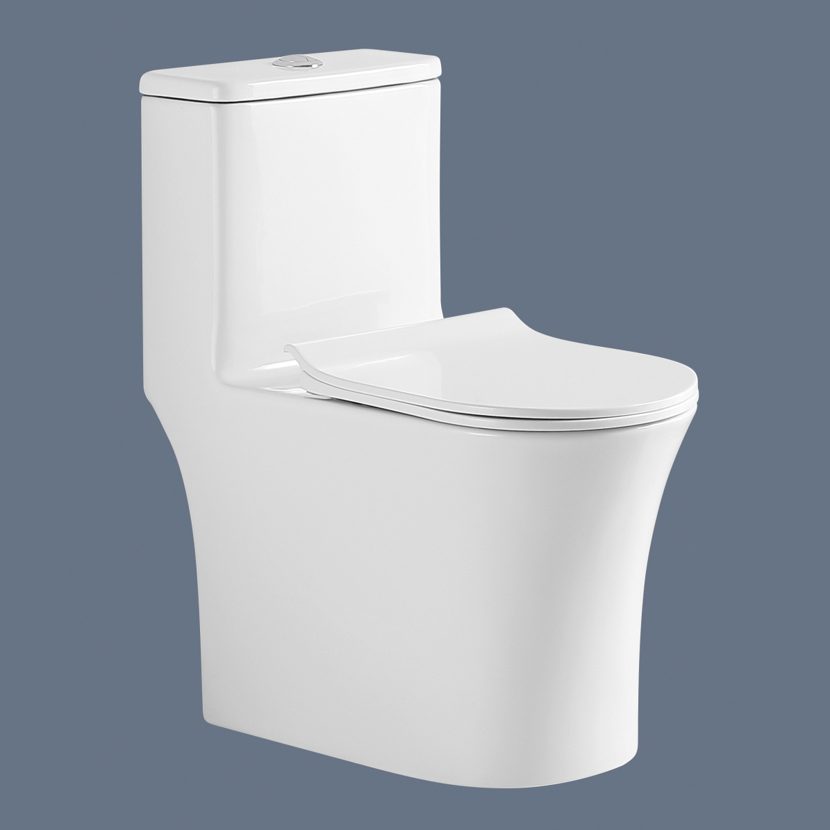 Romance one piece toilet