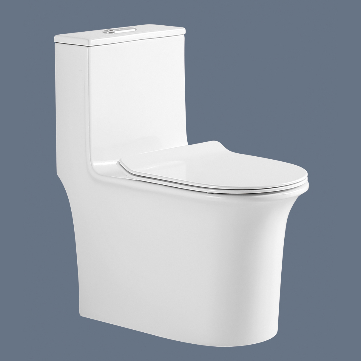 Romance one piece toilet