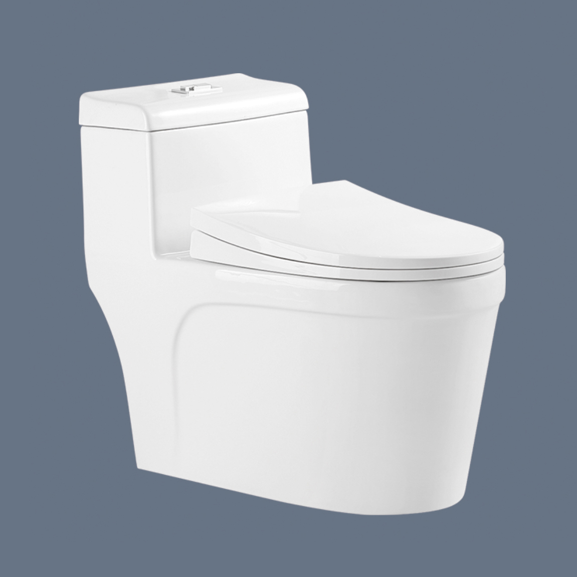 Romance one piece toilet