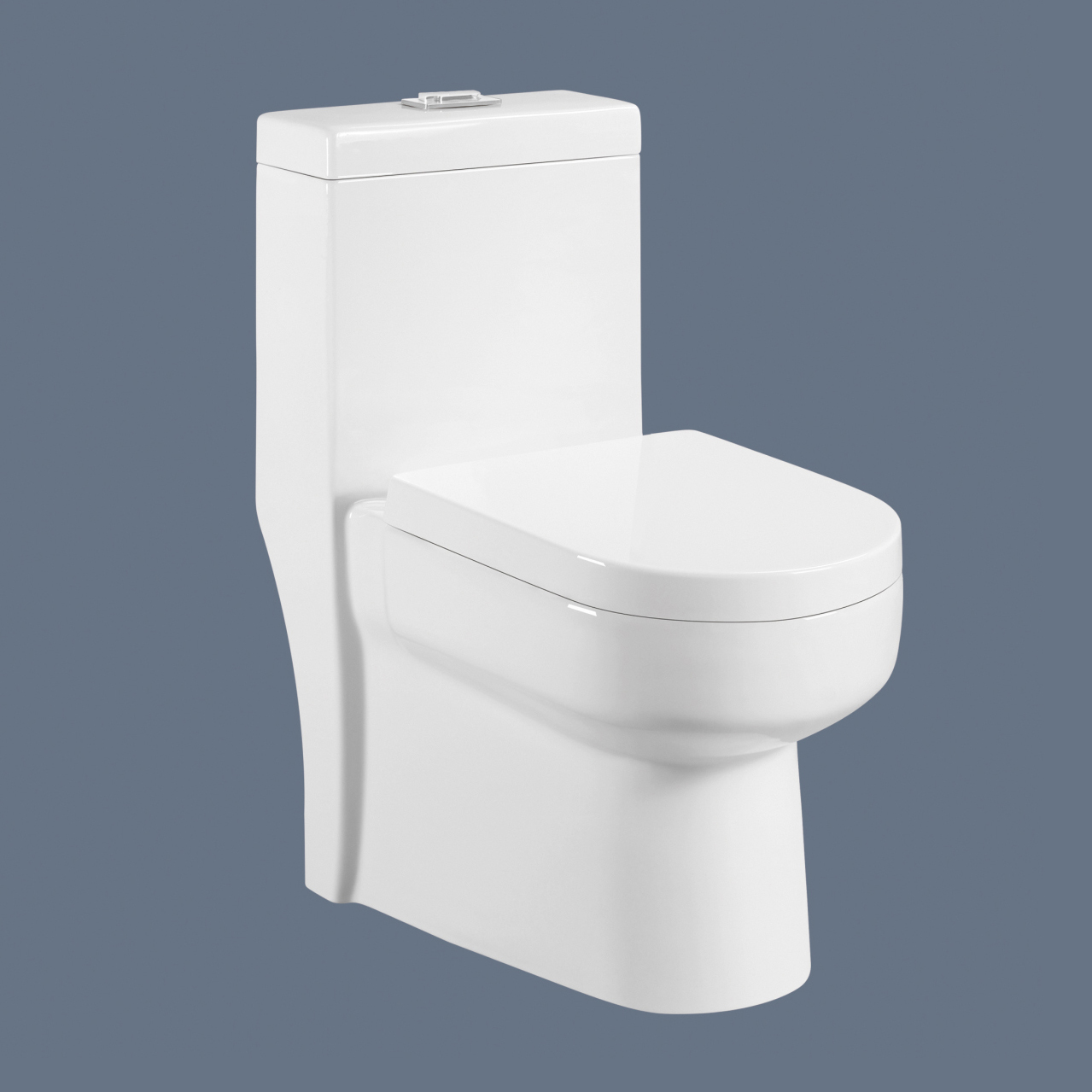 Romance one piece toilet