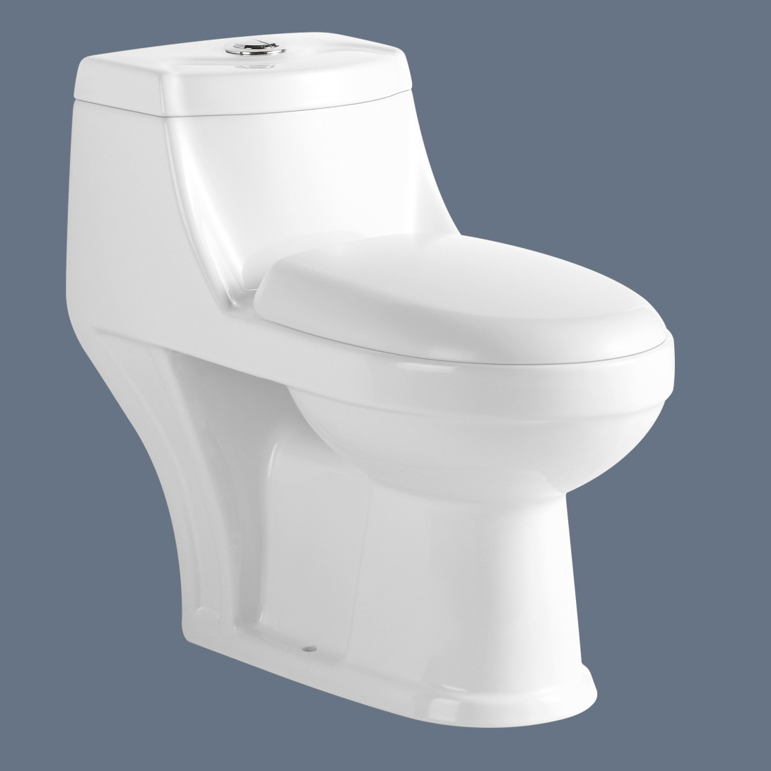 Romance one piece toilet