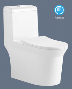 Romance one piece toilet