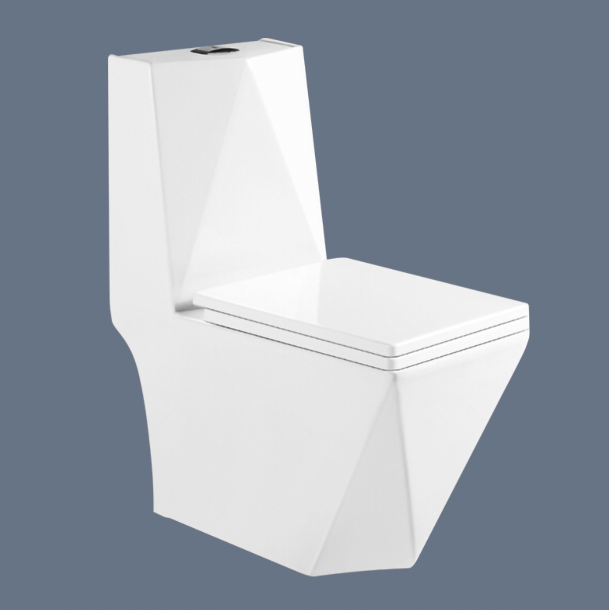 Romance one piece toilet