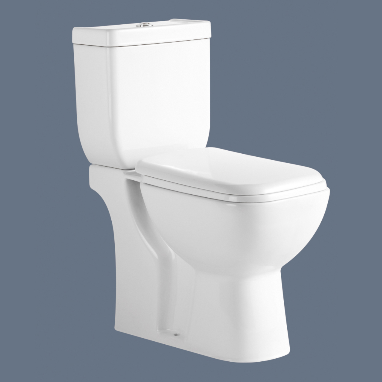 Romance two piece toilet