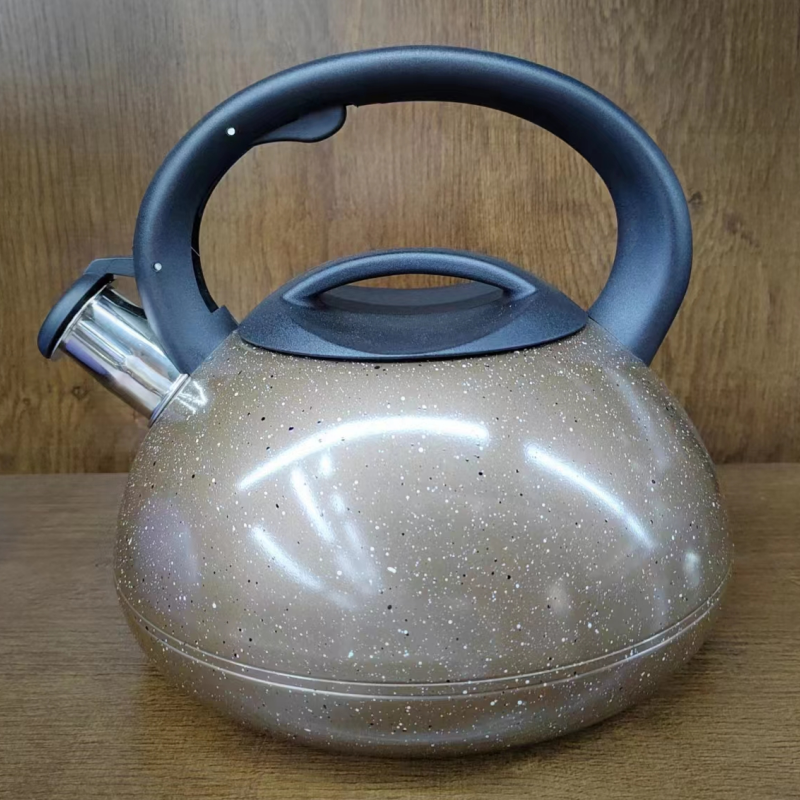 Stainless Steel Induction Kitchenware Whistling Kettle-Black Nylon Lid