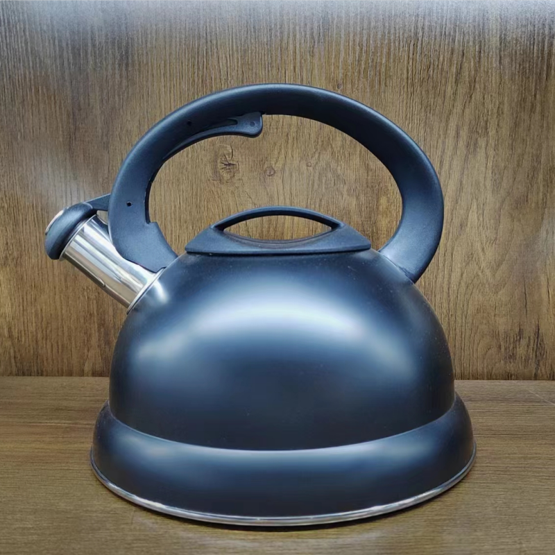 Stainless Steel Induction Kitchenware Whistling Kettle-Black Nylon Lid