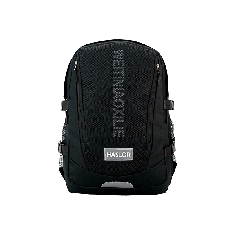 Haslor new arrive large capacity fashion sports backpack bag travel bag