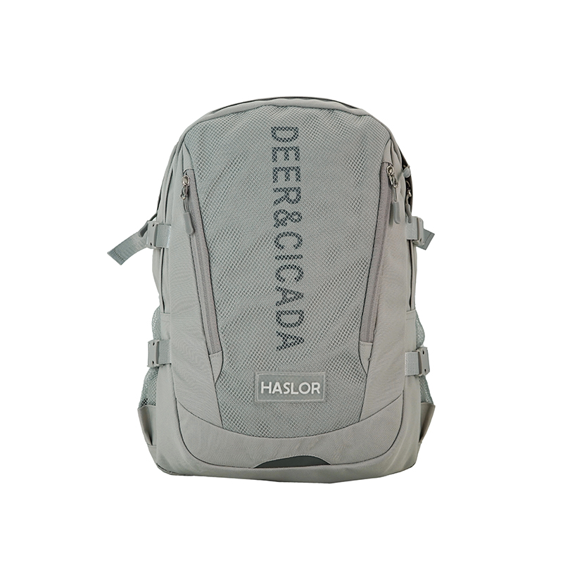 Haslor new design large capacity fashion sports backpack bag travel bag