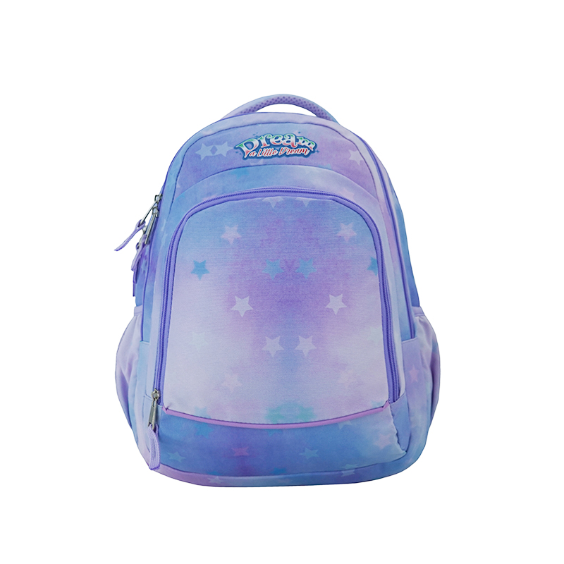 Hot selling Haslor large capacity fashion teenage student schoolbag backpack