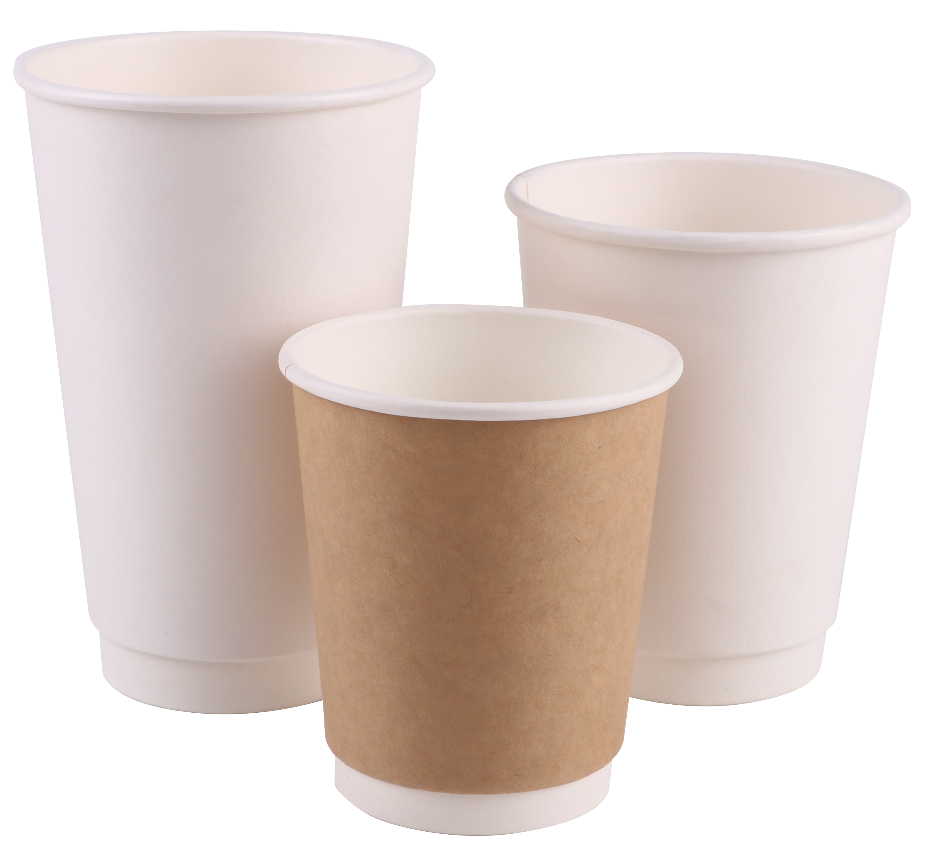 Double Wall Cup