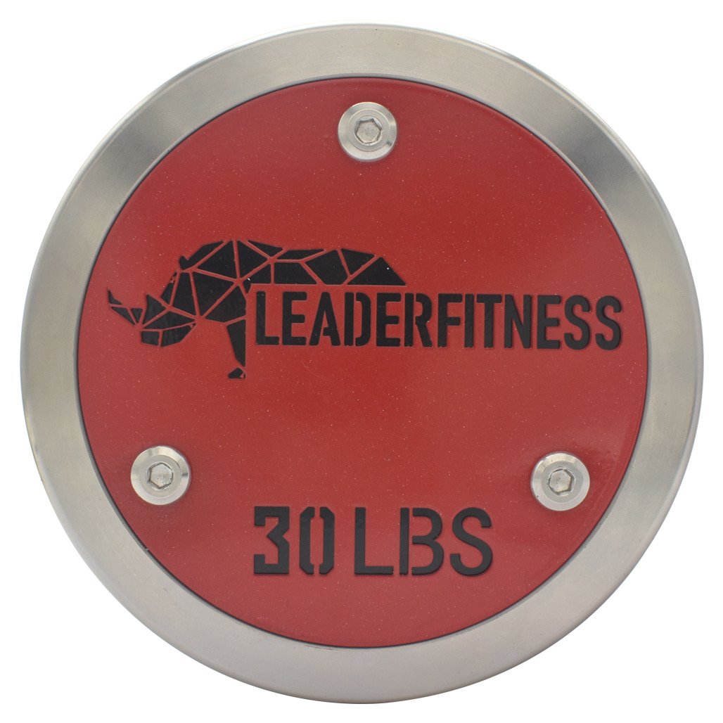 stainless steel dumbbells