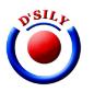 SHENZHEN D`SILY TRADING CO.,LTD