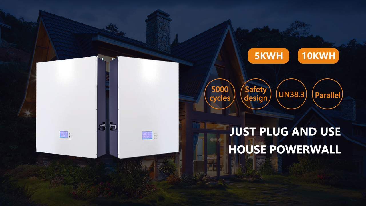 Hunan Wangshida New Energy Co., Ltd. – batteries 2