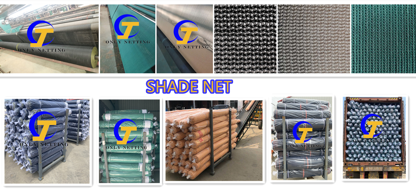 Shandong Jiacheng Chemical Fiber Products Co., Ltd. – té negro 2