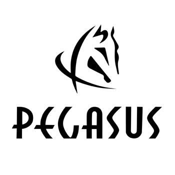 Xiamen Pegasus Sandals Limited