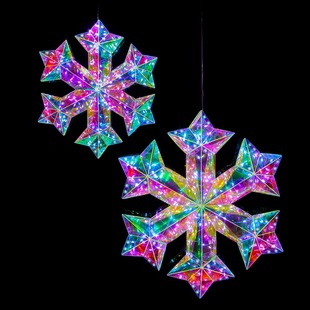xinjiang Foresight Trading Co.,Ltd – portarretrato 3